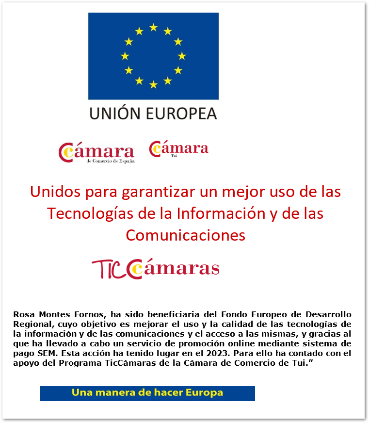 Programa TicCámaras 2023: Cámara de Comercio de Tui